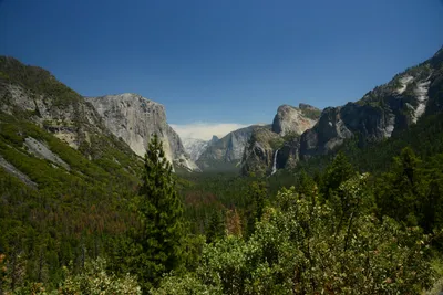 DSC_2348 (Large).JPG